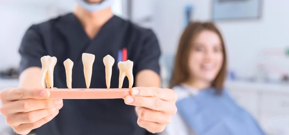 How to Find the Perfect Dentist in Your Locality